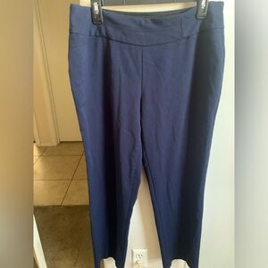 EUC blue pull up Investments Petites pants, Size 10p